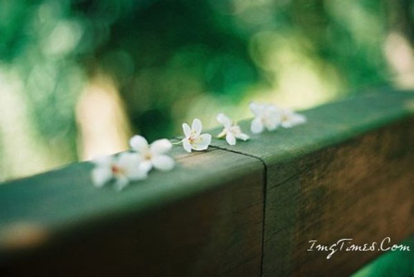 要整容，不如先整心